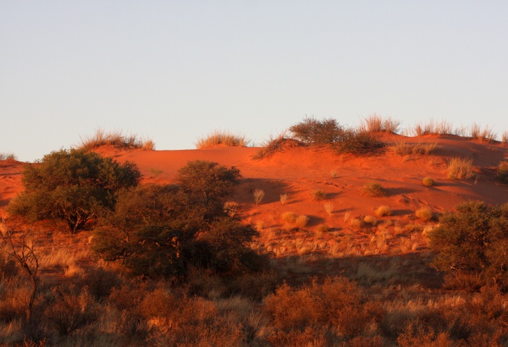 NP Kgalagadi