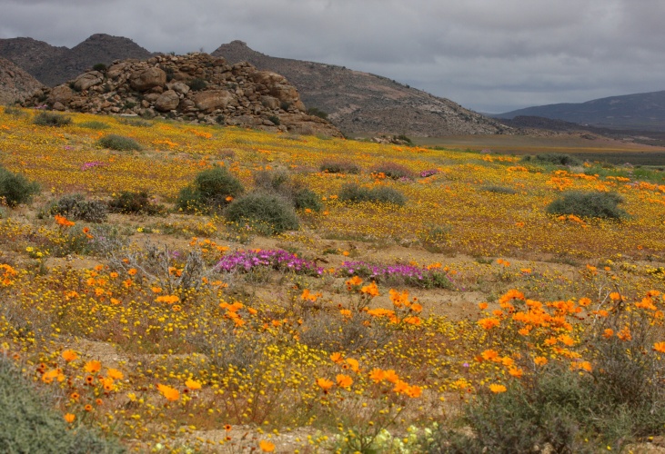 Goegap nature reserve